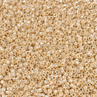 MIYUKI Delica Beads X-SEED-J020-DB1561-1