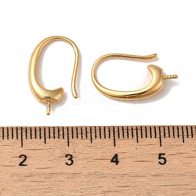 Rack Plating Brass Earring Hooks KK-G480-09G-1