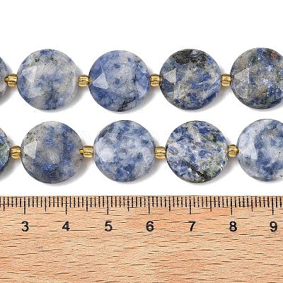 Natural Blue Spot Jasper Beads Strands G-A292-A10-01-1