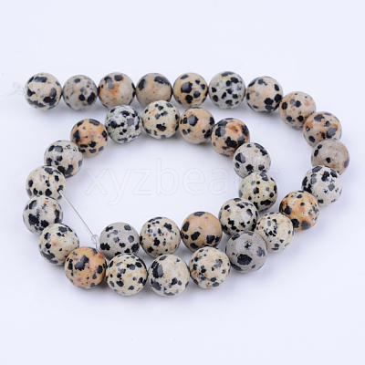 Natural Dalmatian Jasper Beads Strands X-G-Q462-4mm-30-1