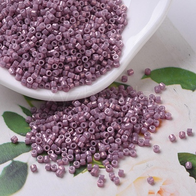 MIYUKI Delica Beads Small SEED-X0054-DBS0253-1