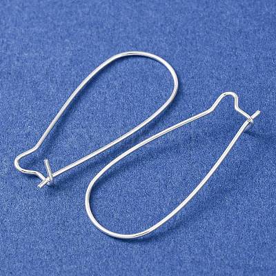 Brass Hoop Earrings Findings Kidney Ear Wires EC221-S-1