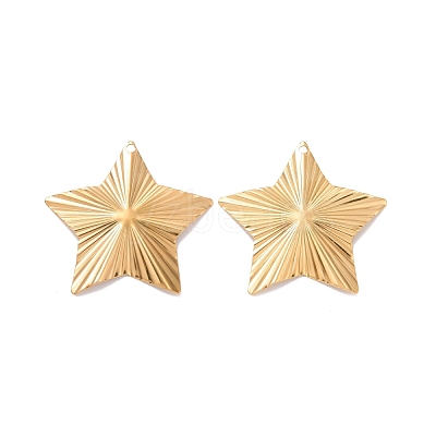 304 Stainless Steel Pendants STAS-A061-06G-1