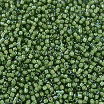MIYUKI Delica Beads SEED-X0054-DB1786-1