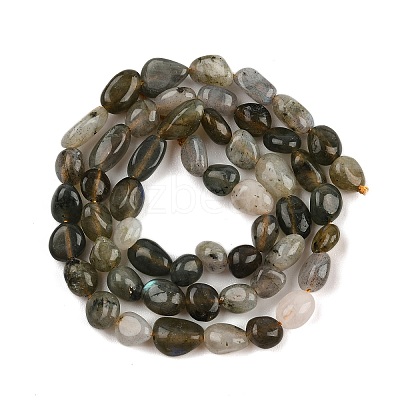Natural Labradorite Beads Strands G-C250-03-1