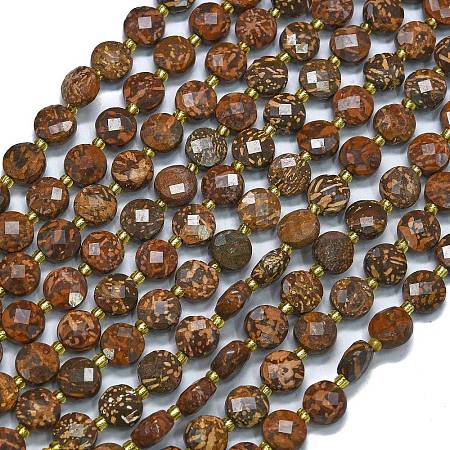 Natural Starburst Jasper Beads Strands G-K389-B24-01-1