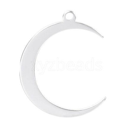 304 Stainless Steel Pendants PW-WG9E113-01-1