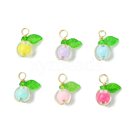 Transparent Acrylic Beads Pendants PALLOY-JF03386-02-1