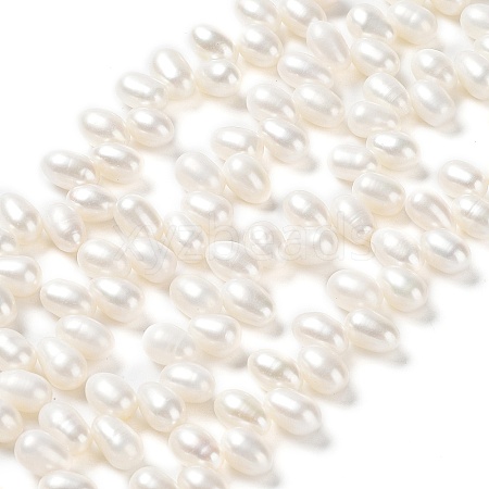 Natural Cultured Freshwater Pearl Beads Strands PEAR-J007-65-1