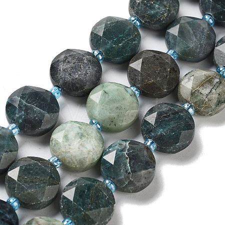 Natural Chrysocolla Beads Strands G-NH0004-034-1