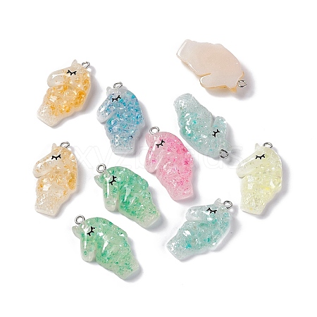 Translucent Resin Pendants RESI-I047-01B-1