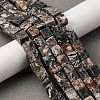 Natural Map Stone Beads Strands G-T139-8x8-45A-1