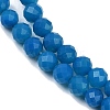 Natural Blue Agate(Dyed & Heated) Beads Strands G-R009-A02-01-4