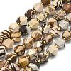 Natural Zebra Jasper Beads Strands G-I376-A33-01-1