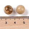 Natural Picture Jasper No Hole Sphere Beads G-K353-04A-15-3