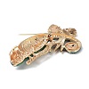 Alloy Rhinestone Brooch JEWB-K018-07KCG-2