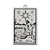 Non-Tarnish 201 Stainless Steel Pendants STAS-S105-LA211-8-1