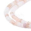 Faceted Glass Beads Strands GLAA-F106-B-F11-6