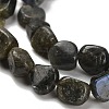 Natural Larvikite Beads Strands G-P497-01E-85-4