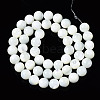 Natural Trochid Shell/Trochus Shell Beads Strands SSHEL-S266-023A-03-2