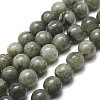 Natural Labradorite Bead Strands X-G-P256-01-6mm-1