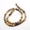 Round Natural Crazy Lace Agate Beads Strands G-P058B-01-1