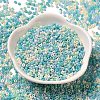 Baking Paint Glass Seed Beads SEED-P006-03A-17-2