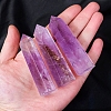 Natural Amethyst Display Decorations PW-WG8F58A-01-3