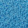 MIYUKI Round Rocailles Beads SEED-X0056-RR0433-3