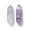 Natural Fluorite Double Terminal Pointed Pendants G-C007-02B-06-3