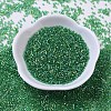 MIYUKI Delica Beads SEED-X0054-DB0152-2