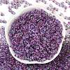 Transparent Inside Colours Glass Seed Beads SEED-A032-04T-2