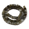 Natural Labradorite Beads Strands G-T139-6x6-19A-2