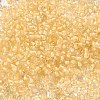 12/0 Transparent Glass Seed Beads X-SEED-F003-03C-14-3