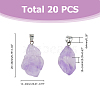20Pcs Natural Amethyst Pendants G-FI0001-33-2