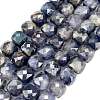 Natural Iolite Beads Strands G-C127-C01-01-1