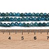 Natural Apatite Beads Strands G-E411-36-3mm-02-4