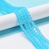 Transparent Glass Beads Strands X-EGLA-A034-T10mm-MD08-3