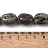 Natural Fluorescent Syenite Rock(Glow under UV Light)  Beads Strands G-K362-D02-03-5