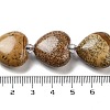 Natural Picture Jasper Beads Strands G-C150-A26-01-5