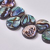 Abalone Shell/Paua Shell Beads Strands BSHE-L043-03-2