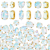 106pcs 6 Style Sew On Rhinestone FIND-OC0004-09G-1