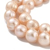 Natural Cultured Freshwater Pearl Beads Strands PEAR-C003-22C-4