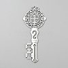 Tibetan Style Zinc Alloy Big Pendants FIND-WH0139-675AS-1