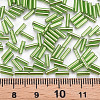 Plated Glass Bugle Beads SEED-S046-01B-49A-4