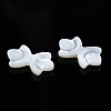 Natural White Shell Beads SSHEL-S258-105A-3