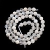 Natural Rainbow Moonstone Beads Strands G-G140-A13-06-3