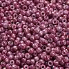 TOHO 6/0 Round Beads SEED-XTR06-1202-4