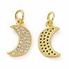 Brass Micro Pave Cubic Zirconia Pendants KK-E068-VF049-1