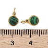 Synthetic Malachite Half Round Charms with Jump Ring STAS-A097-05G-11-3